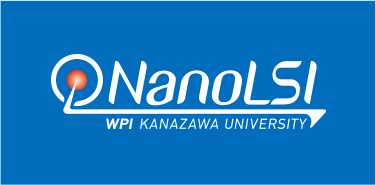 NanoLSL