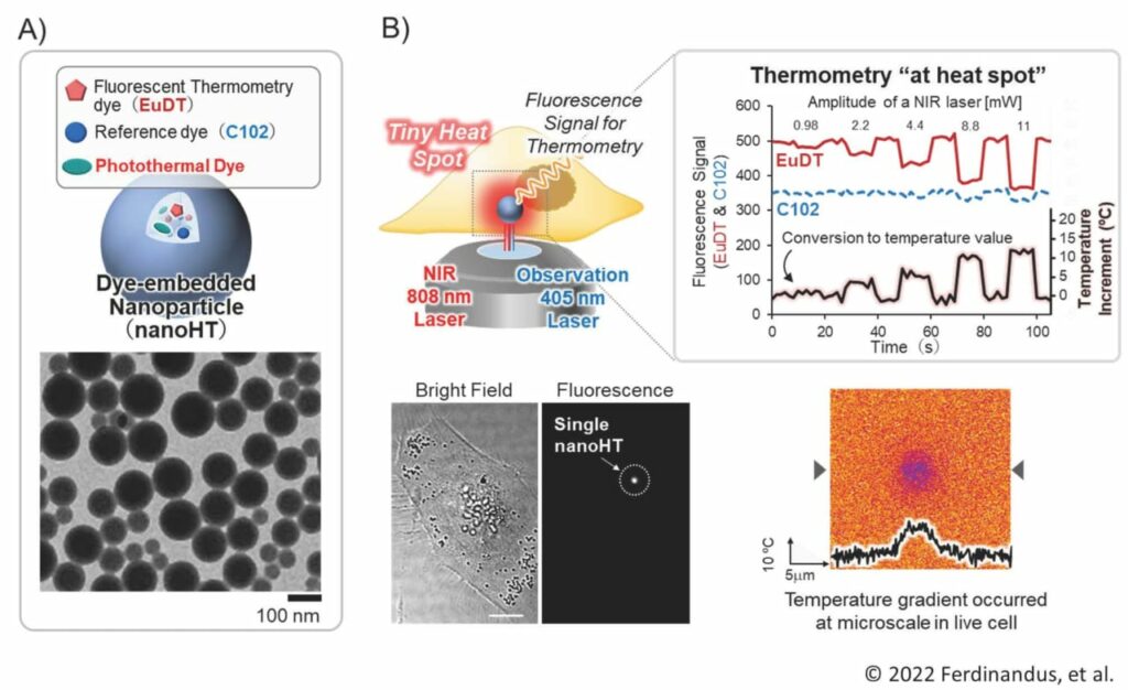 Heat and manipulate, one cell at a time – WPI Nano Life Science ...