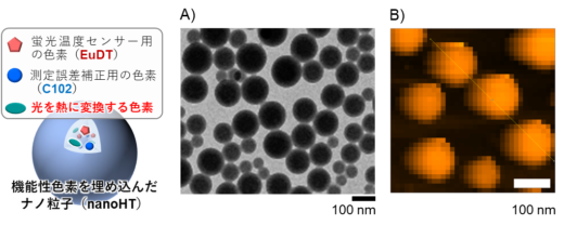 図2　ナノヒーター（nanoHT）の模式図，及び，顕微鏡写真（A：透過型電子顕微鏡，B：原子間力顕微鏡（AFM）の画像）